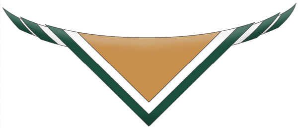 26th Kildare Ballymore