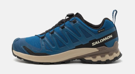 XA Pro 3D V9 GTX Shoes