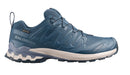 XA Pro 3D V9 GTX Shoes