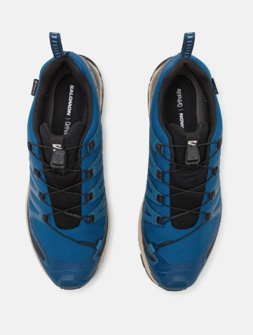 XA Pro 3D V9 GTX Shoes