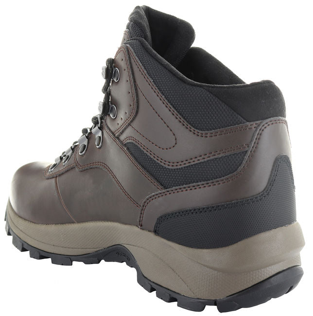 Mens Altitude VI Waterproof Hiking Boot - Brown