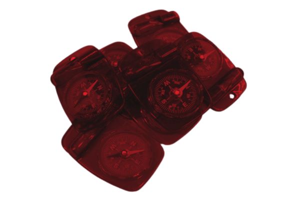 Cub Compass