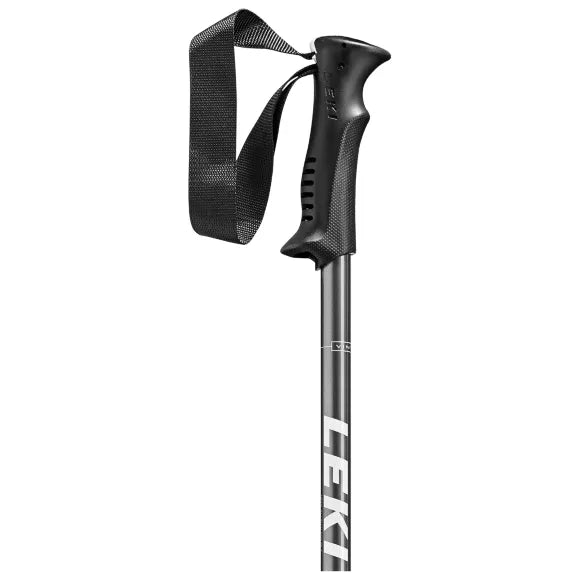 Eagle Walking poles