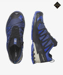 XA Pro 3D V9 GTX Shoes