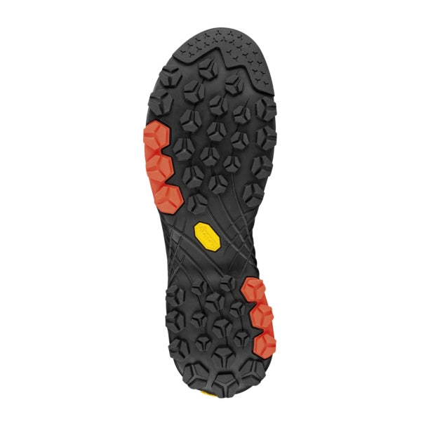 Men's Alpha GTX Shoe