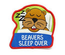 Beaver Sleepover