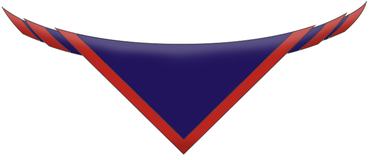 17th Clare Ruan Neckerchief | Fast Delivery | thescoutshop.ie