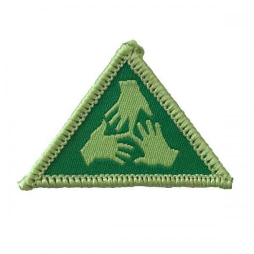 Cub Scout  Community