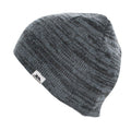 Men's Aneth Beanie