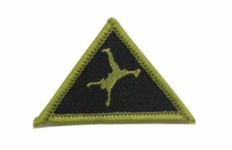 Rover Scout Physical Badge | Fast Delivery | thescoutshop.ie