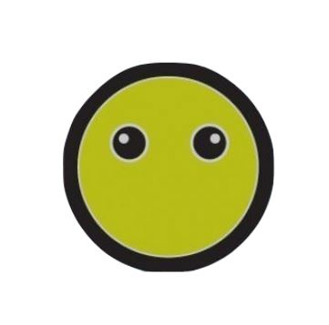 Rover Investiture Pin