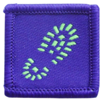 Venture Scout Section