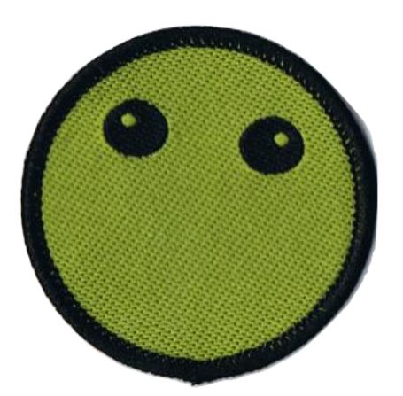 Rover Investiture