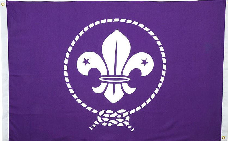 World Scout Flag Printed